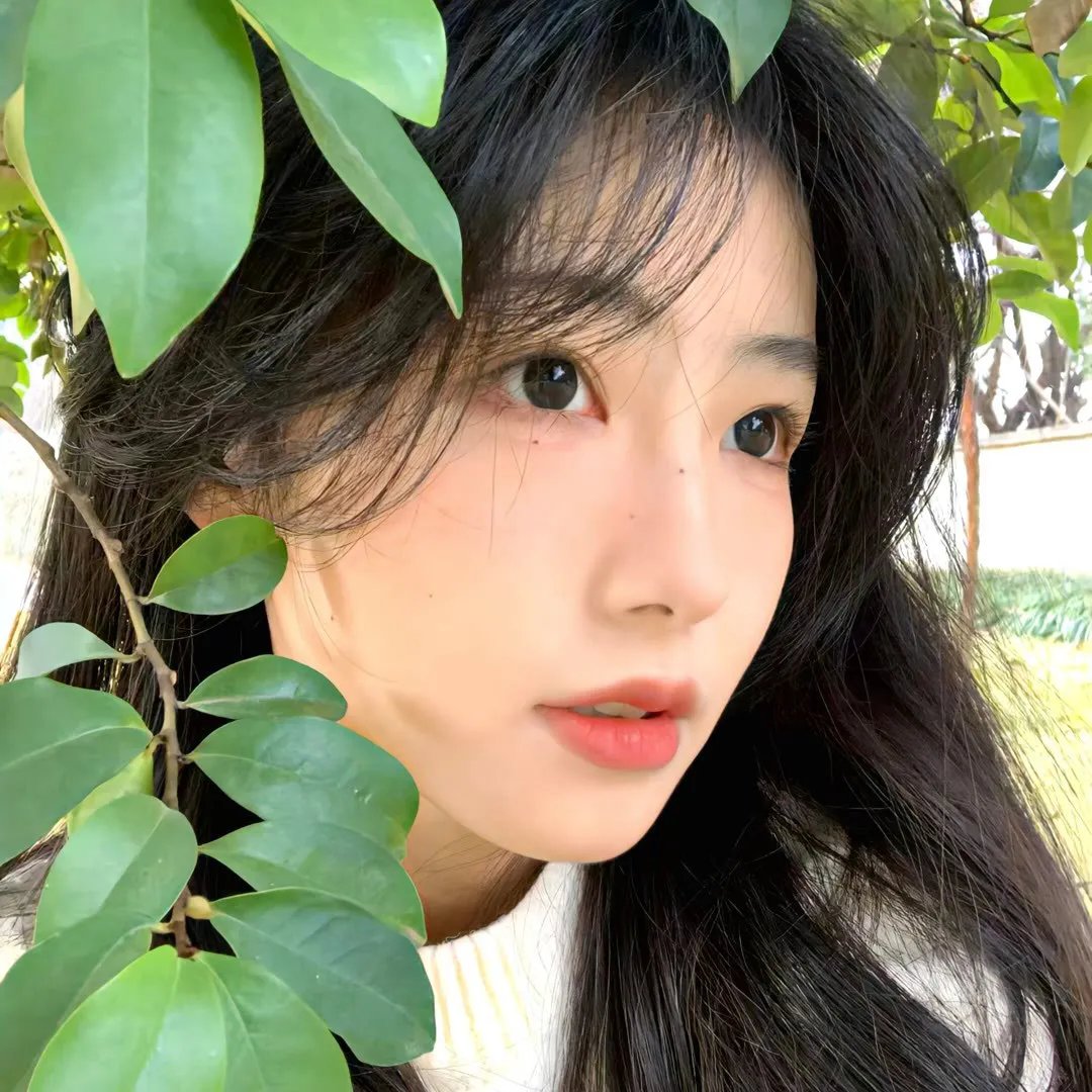 良辰美景又逢君