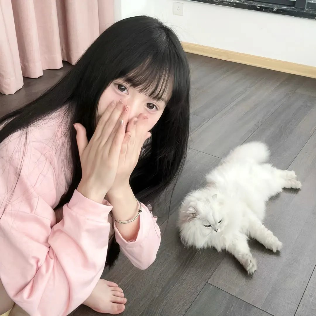 三只小猪3正义大联萌